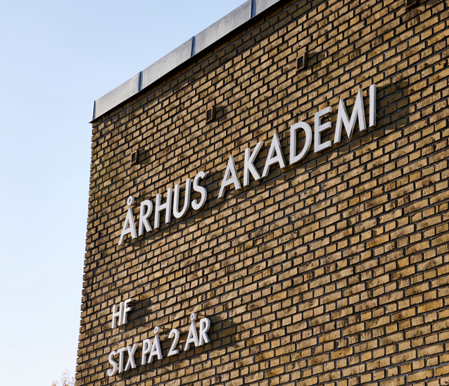 Studievejledning 2