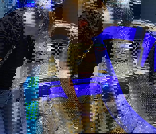 244177895 4502506929771924 268705342319690286 N