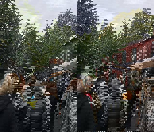 244276183 4505631759459441 3622065281561901709 N