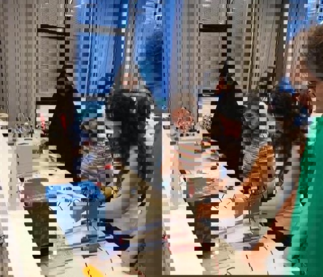 244273364 4504125736276710 7672466409927471475 N