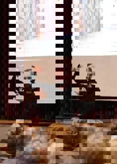 252394033 4604384239584192 3564630485344193510 N