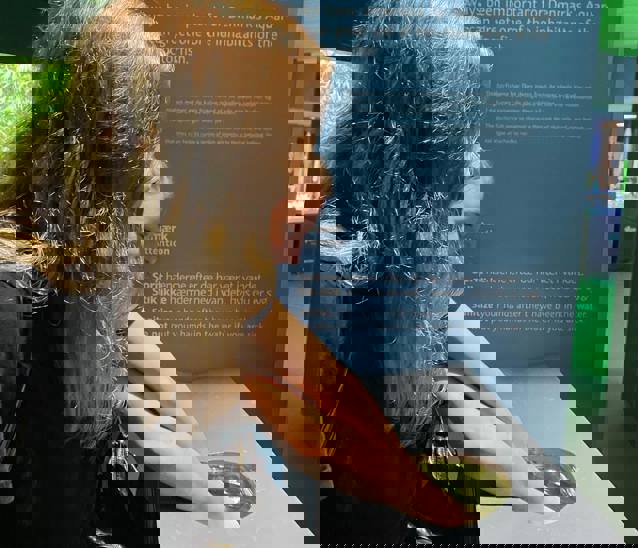 244139646 4502506939771923 2602375252917242792 N