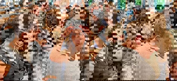 460552408 18432961189067169 6200716741540165168 N