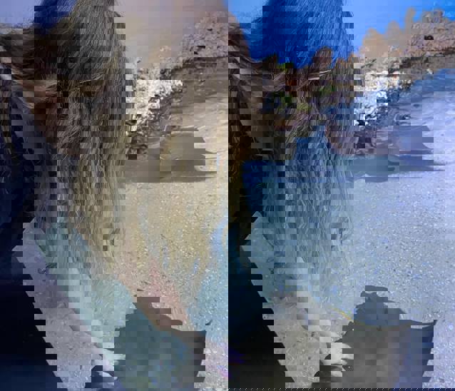 244048545 4502506936438590 531865828517140593 N