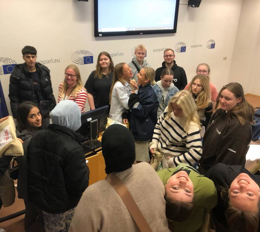 310968479 5617572098265396 1907761372631376559 N