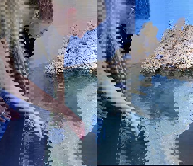 244206055 4502506926438591 6044855483482296681 N