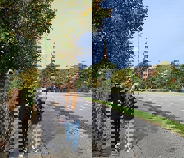 244008701 4501039819918635 6806819264866811326 N